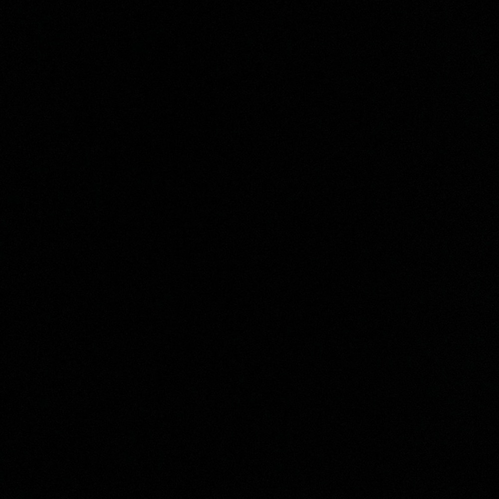 IGNORE